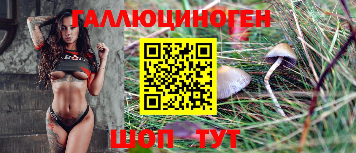 Псилоцибиновые грибы мухоморы Кисловодск