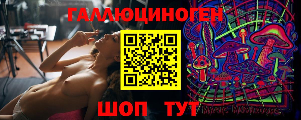 купить наркотики сайты  Псилоцибиновые грибы ЛСД  Вход с VPN  Кисловодск  Галлюциногенные грибы GOLDEN TEACHER 