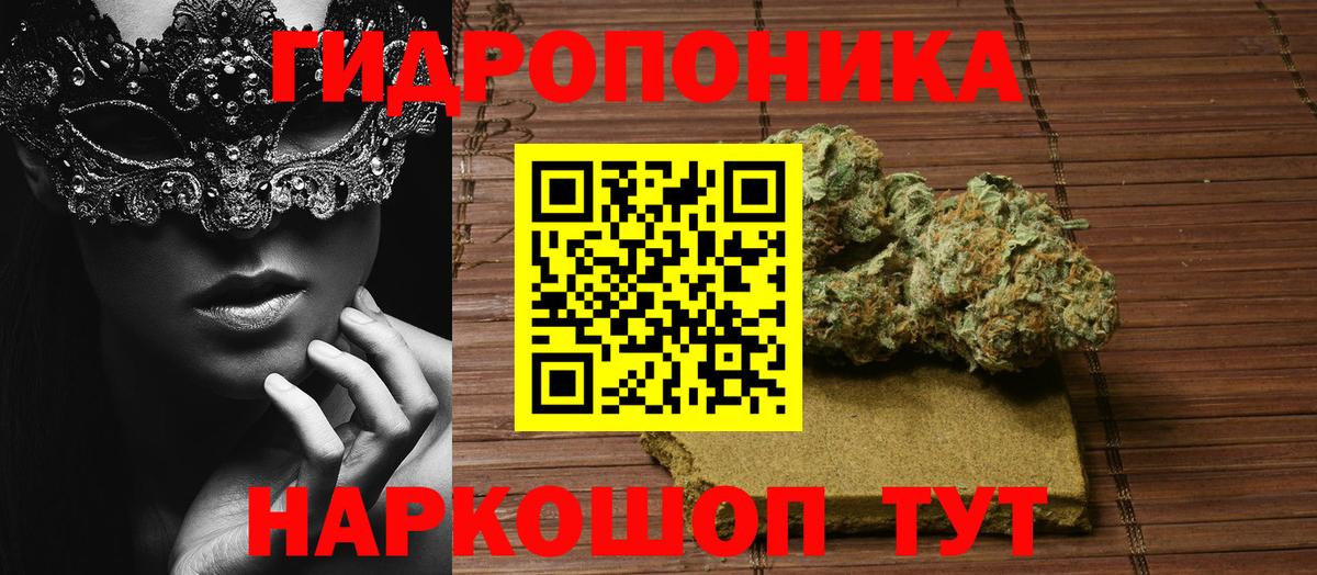 Каннабис OG Kush Кисловодск
